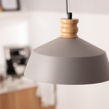 Load image into Gallery viewer, MILA - PENDANT LAMP IN MATTE GRAY COLOR
